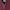 2000s Japanese Double Layer Ribbed Textured photo 5
