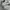 On Running Sportswear Sneakers Pria white photo 2
