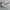 On Running Sportswear Sneakers Pria white photo 1