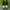 Nike air Jordan 1 low  photo 2
