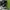 Nike air Jordan 1 low  photo 3