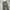 Blank wide climbing belted pants photo 3