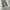 Blank wide climbing belted pants photo 4