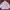 Streetwear Sportswear Track jacket Pria purple pink photo 1