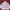 Streetwear Sportswear Track Jacket Pria Purple Pink