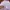 Streetwear Sportswear Track jacket Pria purple pink photo 2