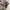 vintage Coach Soho Lynn Signature C canvas hobo shoulder bag photo 4