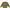 Crocodile Vintage Casual Sweater Pria Multicolor