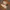 Nike Air Monarch 4 Original photo 3