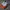 Nike Air Monarch 4 Original photo 8