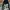 Original Vans Checkerboard Og V2 + Vans Bess Ni No nike sb photo 5