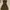 Japanese brand Y2K Coquette Casual dress Wanita brown black photo 2