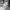 New Era Streetwear Hoody Pria gray photo 5