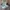 Nike Streetwear Sportswear Sneakers Pria white black photo 1