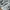 Nike Streetwear Sportswear Sneakers Pria White Black