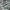 Nike Streetwear Sportswear Sneakers Pria green gray photo 2