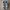 Nike Streetwear Sportswear Sneakers Pria green gray photo 3