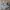 Nike Streetwear Sportswear Sneakers Pria Green Gray