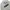 Vivastudio Streetwear Sweatshirt Pria gray photo 5