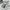 Adidas Sportswear Sweatshirt Pria white photo 6