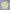 Streetwear Indie Casual shirt Pria white yellow photo 1