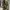 Realtree Streetwear Tracksuit Pria tan photo 2