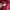 The North Face Streetwear Hoody Pria red photo 4