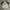 Vintage Converse All Star Raglan Tshirt  photo 3
