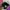 Charles And Keith Crossbody Bag Wanita Purple