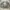 Neighborhood Streetwear Skater Sweater Pria Gray