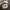 Ransel mcm small stude photo 2