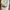 Topi Vintage Dad Hat Sports Club by Sporty & Rich photo 7