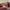 Lovain Studio Loafers V4 BNWB photo 9