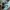 Golf Le Fleur x Converse Gianno Ox 'Skylight' photo 3