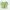 H&M Indie Cardigan Wanita green photo 1