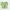 H&M Indie Cardigan Wanita Green