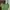 H&M Indie Cardigan Wanita green photo 2