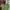 H&M Indie Cardigan Wanita Green