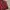 knitwear turtleneck maroon photo 5