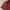 knitwear turtleneck maroon photo 4