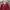 Y2K Luxury Cardigan Wanita red photo 1
