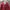 Y2K Luxury Cardigan Wanita Red