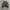 Ghost Of Harlem Japan Y2k Grunge Military Double Zip Jacket 