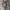 Carhartt Vintage Vest Pria gray photo 3
