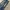 Diesel Vintage Jeans Pria navy photo 2