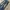 Diesel Vintage Jeans Pria Navy