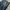 Diesel Vintage Jeans Pria navy photo 4