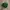 Takoma Fuji records Japan embroidery logo cap dark green photo 3