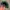 Takoma Fuji records Japan embroidery logo cap dark green photo 6