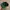 Takoma Fuji records Japan embroidery logo cap dark green photo 5